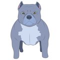 Signmission American Bully Dog Decal, Dog Lover Decor Vinyl Sticker D-12-American Bully
